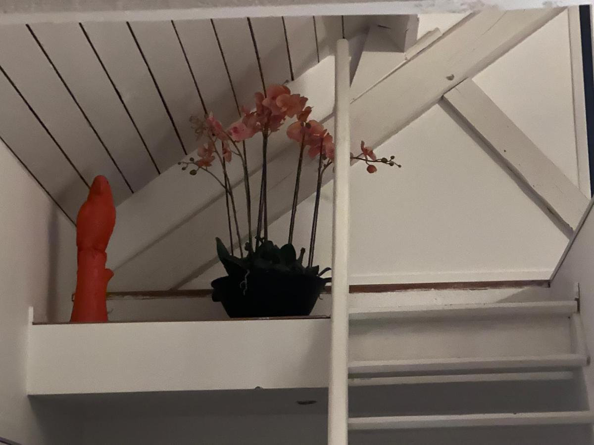 现代公寓 普罗丰德维耶 外观 照片